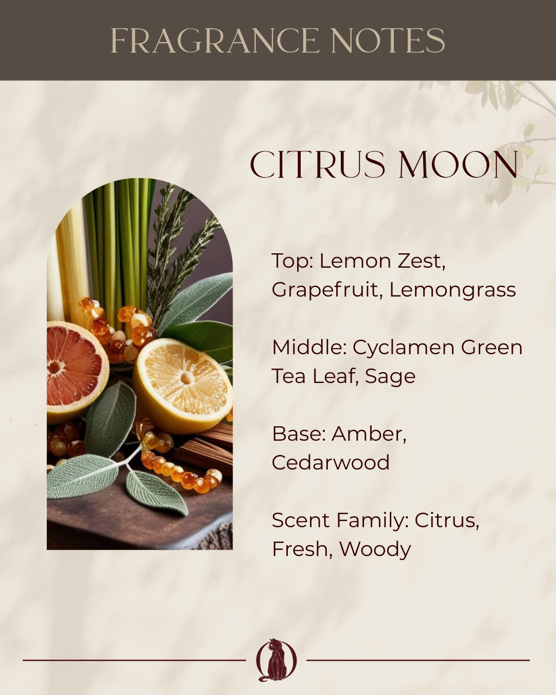 Citrus Moon - 220gm Candle - Wolf Candle Co